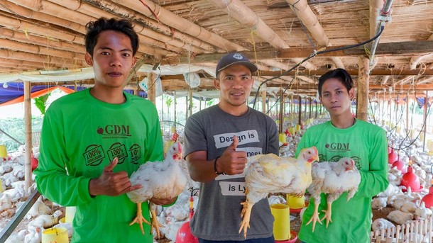 GDM, Solusi Organik untuk Semua Sektor Budidaya: Tanaman, Ternak, hingga Perikanan