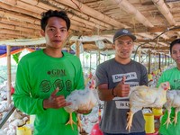 GDM, Solusi Organik untuk Semua Sektor Budidaya: Tanaman, Ternak, hingga Perikanan