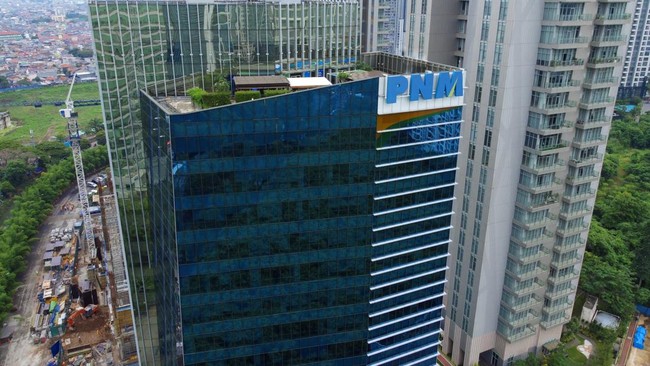 Purbaya berencana akan mengambilalih PT Permodalan Nasional Madani (PT PNM) dari Danantara ke Kemenkeu, kemudian dijadikan bank UMKM.