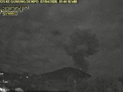 Gunung Dempo di Pagar Alam Erupsi, Keluarkan Abu Vulkanik Setinggi 2.500 Meter