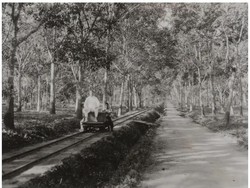 Sejarah Sengketa Tanah Perkebunan di Sumatera Timur Pascakolonial