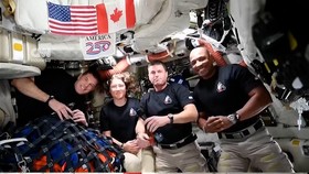 Pesan dan Ucapan Selamat Donald Trump untuk Kru Artemis II NASA