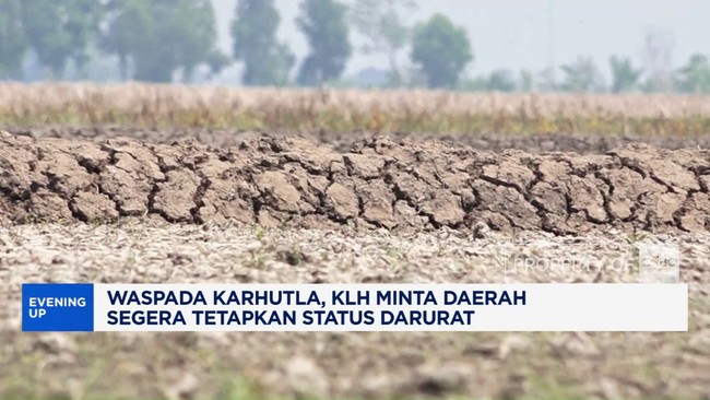Waspada karhutla, KLH minta daerah segera tetapkan status darurat