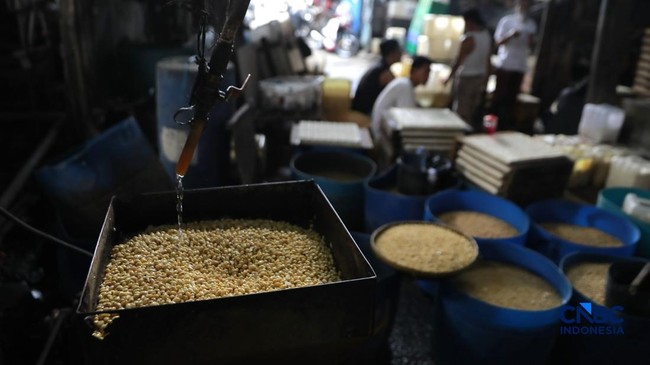 Pemerintah Tak Punya Cadangan Kedelai, Perajin Tahu Tempe Salahkan Ini