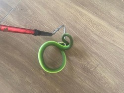 Hii! Ular Hijau Berbisa Nongol Saat Warga Pedurungan Bersih-bersih Teras