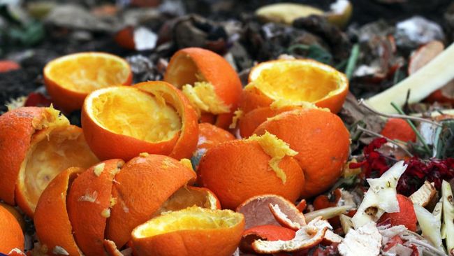 Kulit jeruk bisa dimanfaatkan untuk berkebun, mulai dari jadi pupuk kompos hingga pengusir hama. Simak cara menggunakannya di sini.