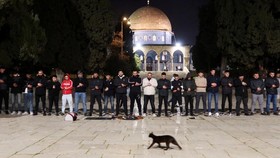 FOTO: Al Aqsa Dipadati Pengunjung Setelah Sempat Ditutup Israel