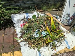 Larangan Sampah Organik Bikin Pedagang Bunga Denpasar Kewalahan