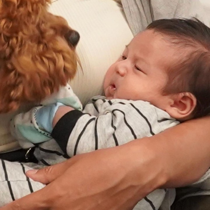 <p>Pada kesempatan yang sama, Tyler membagikan potret sang putra yang tampak begitu menggemaskan. Dalam salah satu foto, Thomas terlihat dengan ekspresi yang gemas saat digendong oleh sang Bunda. (Foto: Instagram @drtylerbigenho)</p>