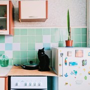 12 Benda yang Tidak Boleh Ditaruh di Atas Kulkas, Sudah Tahu?