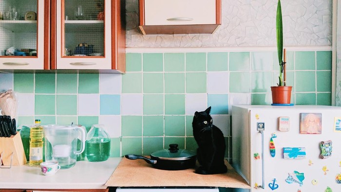 12 Benda yang Tidak Boleh Ditaruh di Atas Kulkas, Sudah Tahu?