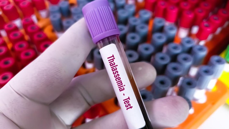 Risiko thalassemia