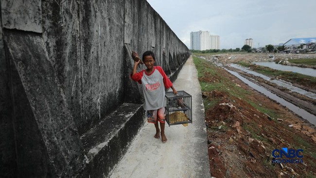 Wajah Baru Tanggul Pantai Muara Baru, Beton "Raksasa" Penahan Air Laut