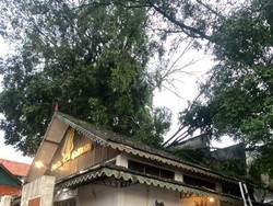 Hujan Lebat, Dahan Pohon Tumbang Timpa Atap Jogja Gallery