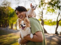 Ekonomi Personalisasi Melonjak, Ini Peluang UMKM di Tren Bisnis Pet Lifestyle