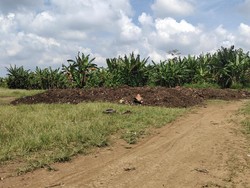 Pemkab Badung Siapkan Tempat Penampung Bahan Baku Kompos di Sejumlah Titik