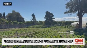 VIDEO: Bertahan Saat Krisis, Pengungsi Lebanon Olah Lahan Jadi Harapan