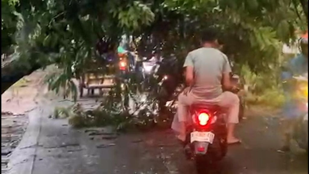 Penampakan Pohon Tumbang Halangi Akses Jalan di Cipayung