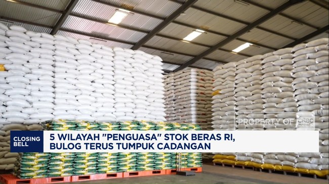 Video: 5 Wilayah "Penguasa" Stok Beras RI, Bulog Terus Tumpuk Cadangan