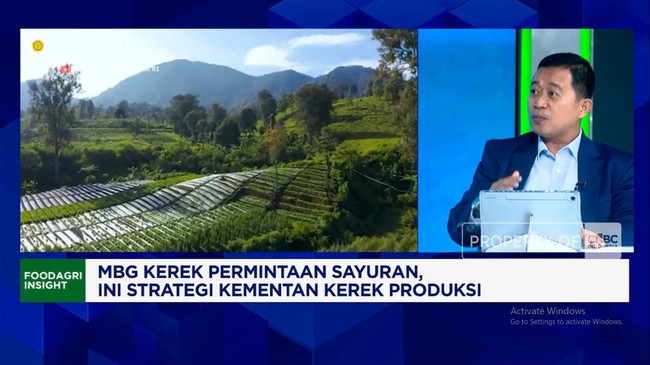 Video: Sayuran Untuk MBG, Petani Milenial - Smart Farming Dikerahkan