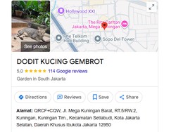 Viral Titik Dodit Kucing Gembrot di Google Maps, Ini Alamat Persisnya