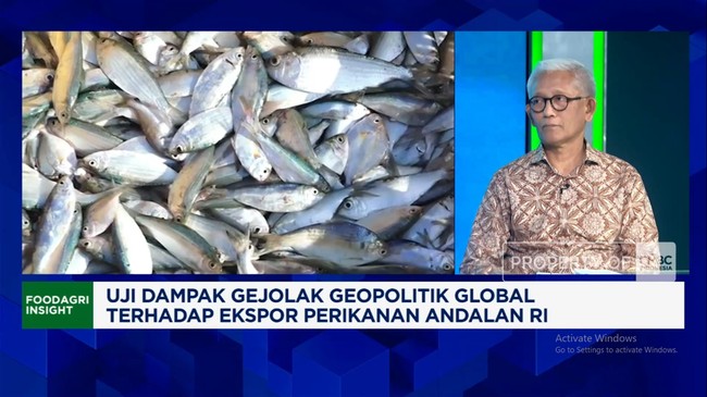 Vidoe: Harga Plastik-Ongkos Angkut Naik, Ekspor Tuna Kena Efek Perang