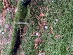 Cuaca Ekstrem Landa Bandung Timur, Petir hingga Hujan Es