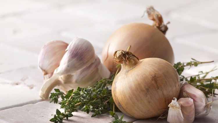 Ilustrasi bawang putih dan bawang bombai