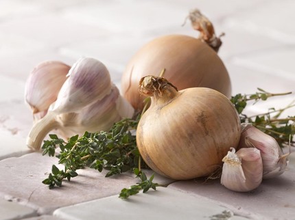 7 Racun Tikus Alami yang Bisa Dibuat di Rumah