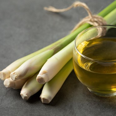 Ini 11 Manfaat Sereh untuk Kesehatan, Atasi Kecemasan hingga Cegah Risiko Kanker