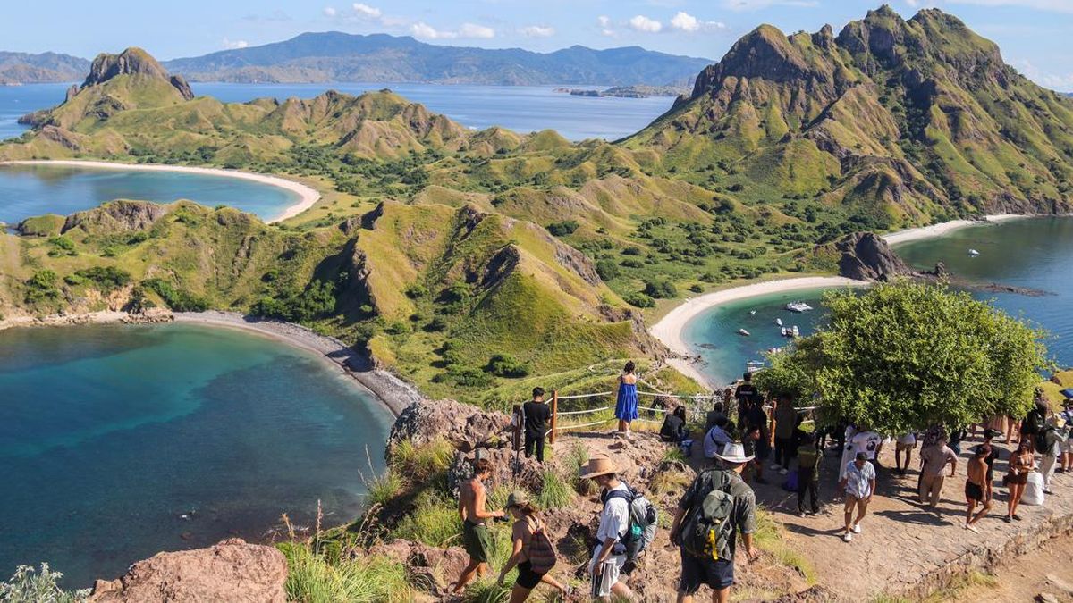 Kata Dpr Soal Pelaku Wisata Minta Naikkan Kuota Pengunjung Tn Komodo