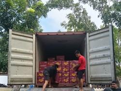 Kemensos Kirim Bantuan Logistik bagi Korban Gempa di Flores Timur