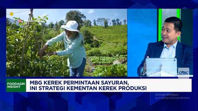 Video: Kementan: Permintaan Naik, MBG Bikin Petani Senang Tanam Sayur