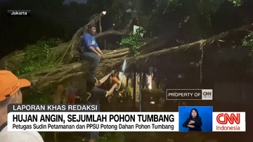 VIDEO: Waspada Cuaca Ekstrem dan Pohon Tumbang di Jakarta