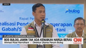 VIDEO: Bulog Pastikan Tak Ada Kenaikan Harga Beras & Minyakita Langka