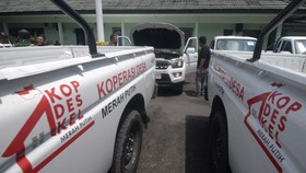 Wamenkop Ungkap Sinergi KDMP dengan Koperasi Tingkatkan Kesejahteraan