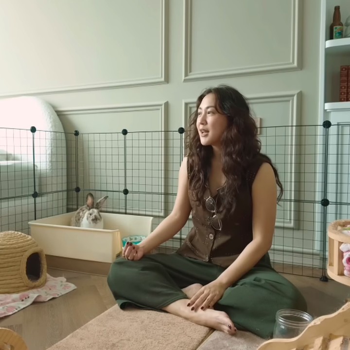 <p>Sherina Munaf mengungkap telah mengadopsi seekor kelinci sejak setahun terakhir. Kini, Sherina pun sedang menyiapkan kamar khusus sebagai tempat tinggal yang nyaman bagi hewan mungil tersebut. (Foto: YouTube Sherina Munaf)</p>