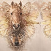 Tes Kepribadian: Kuda, Kupu-Kupu, atau Serigala yang Pertama Dilihat Ungkap Ketakutan Tersembunyimu