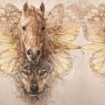 Tes Kepribadian: Kuda, Kupu-Kupu, atau Serigala yang Pertama Dilihat Ungkap Ketakutan Tersembunyimu