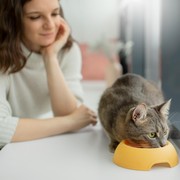 4 Ciri Kepribadian Orang yang Suka Memberi Makanan Hewan Terlantar