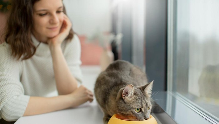 1. Empati yang Tinggi