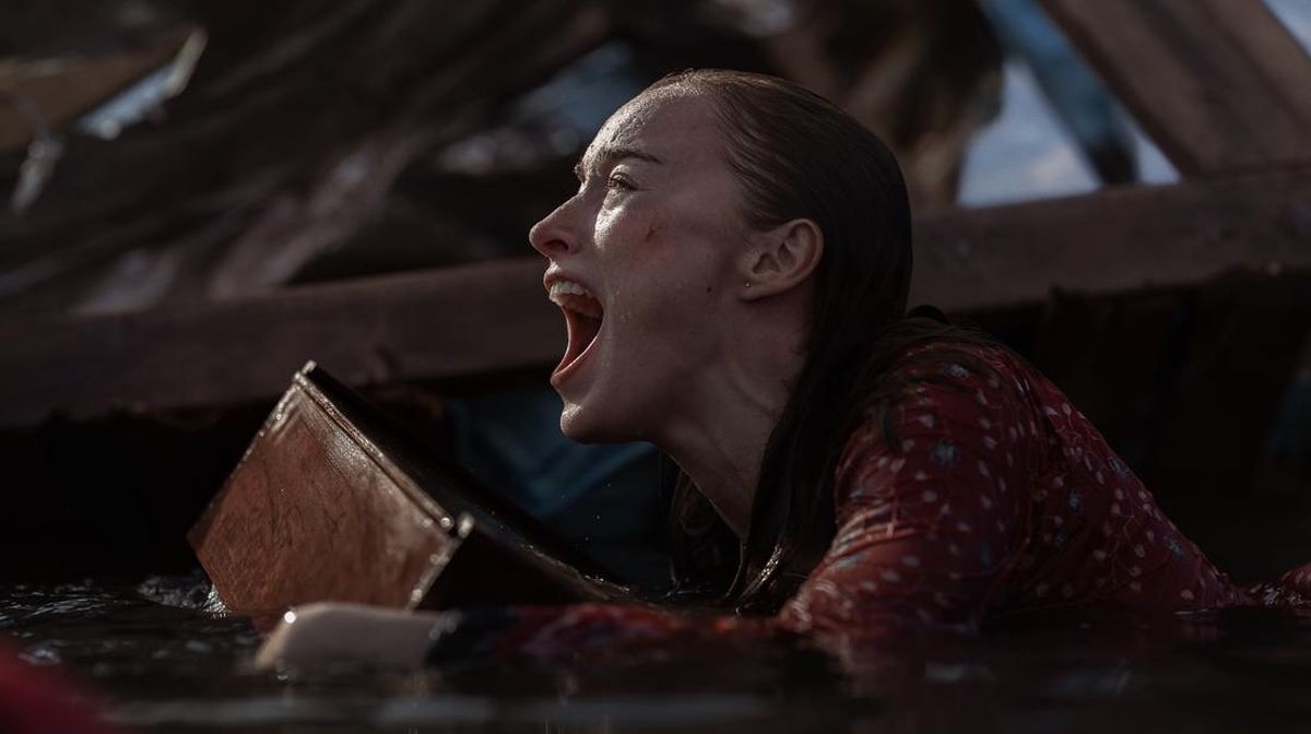 Sinopsis Thrash, Badai Bikin Hiu Kuasai Kompleks Rumah