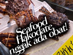 Video: Hakodate Surganya Makanan Laut-Sushi yang Wajib Dicoba!