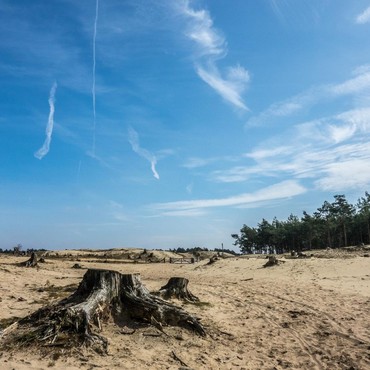 BMKG Sebut Musim Kemarau 2026 Bakal Lebih Kering