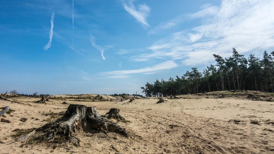 Ilustrasi musim kemarau&comma; kering&comma; kekeringan&comma; gersang