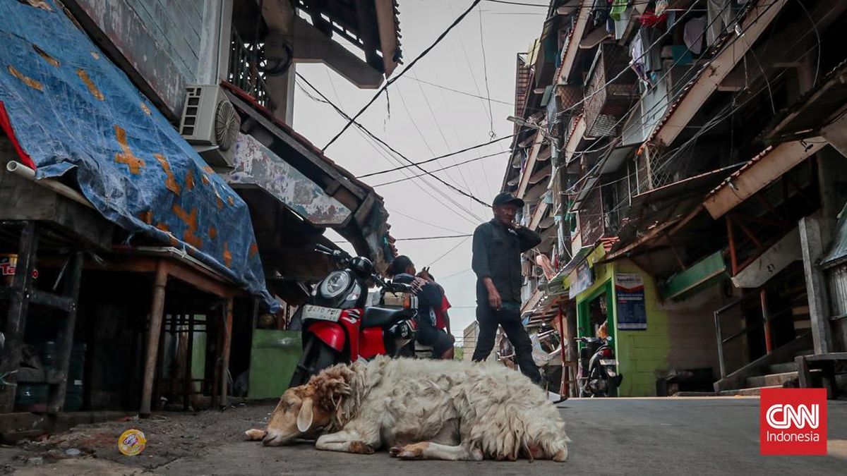 FOTO: Penuh Sesak Jakarta Jadi Kota Terpadat di Dunia