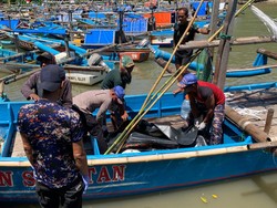 Mayat Wanita Terapung di Pantai Santolo Garut, Sebab Kematian Misterius