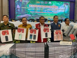 Polda Jatim Gagalkan Penyelundupan Komodo Rp 565 Juta dari NTT
