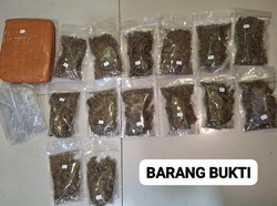 Polda Metro Tangkap Pengedar Narkoba di Depok, Ganja 6,2 Kg Disita