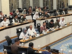 Pemerintah Larang Wisata Gajah Tunggang, Inpres Segera Terbit